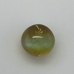 Cat's Eye (Lahsunia) 4.65 Ct Best Quality